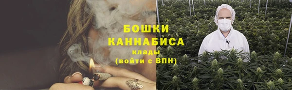 гидропоника Бородино