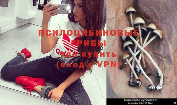 бутират Богородицк