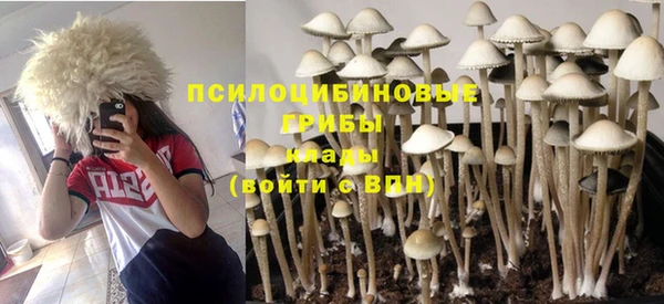 гидропоника Богданович